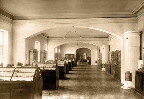 Отдел геологии. Середина XX века